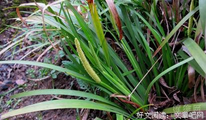 关于钱蕙兮的名言