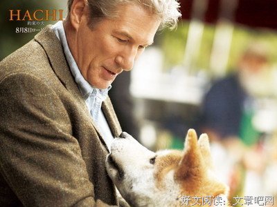 关于犬八公的唯美语录