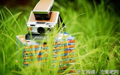 关于蛮横的语句