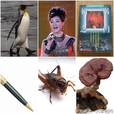 关于生死不渝的名言