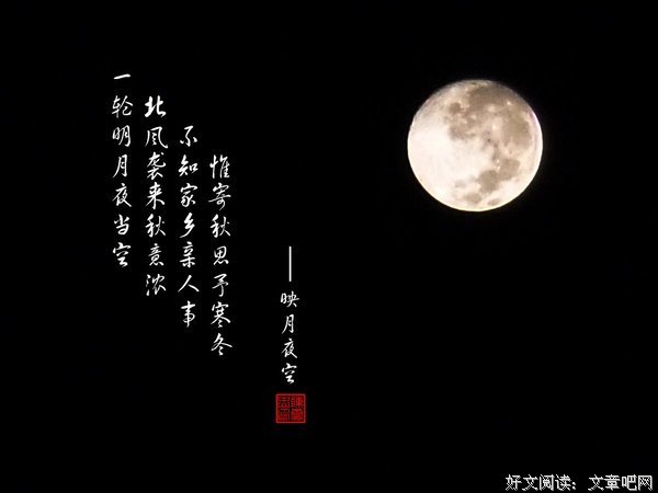 关于映月的唯美语录