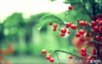 热忱的句子
