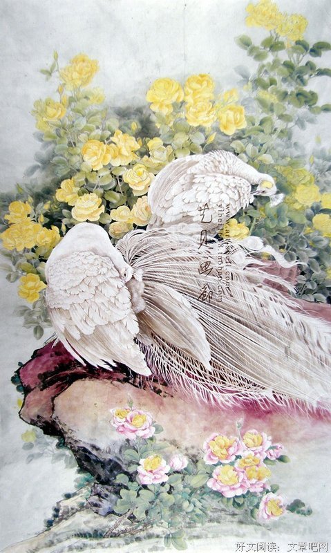 关于马鸣的唯美语录