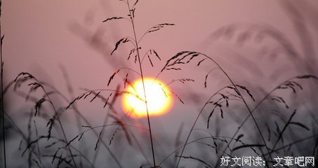 关于傅雷名言警句