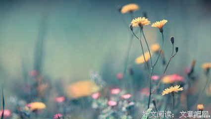 最新的《来自心萌心语的999封情书》好段摘抄