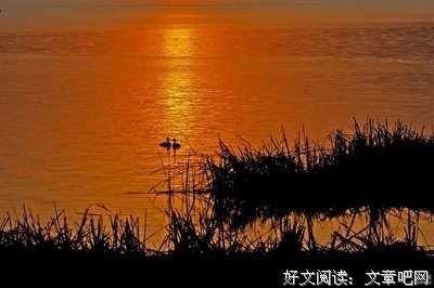 《黄昏之恋》观后感10篇