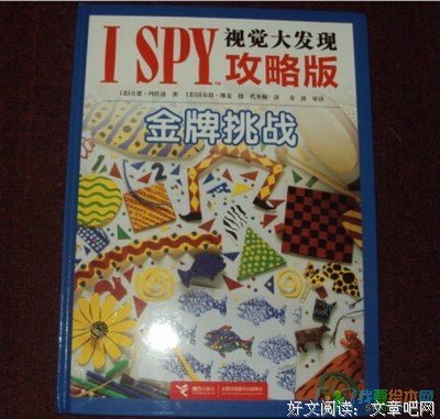 《明代的图像与视觉性》读后感10篇