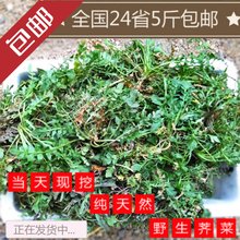 梦见市读后感10篇