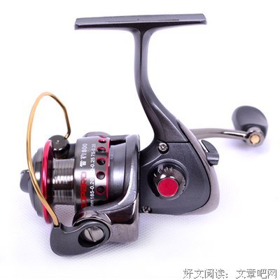 马口铁注的读后感10篇
