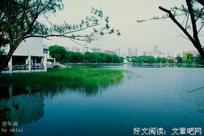 《AV春秋》的读后感10篇
