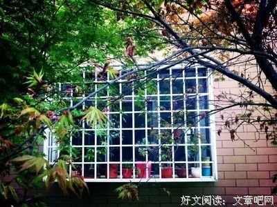 《分心也有好人生》读后感10篇