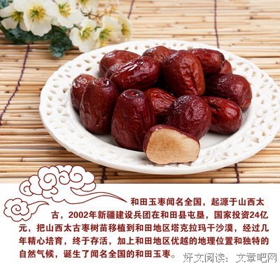 在伤痛中勇敢（约翰·派博）