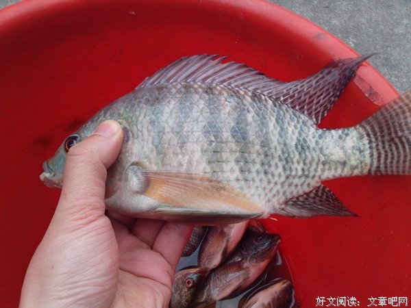 这是？
