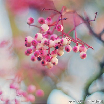 酷酷的滕的优美句子