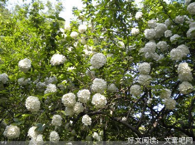 我爱故我在的优美句子