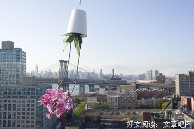 重心十大下句子