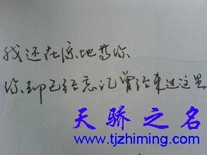 天西看了成向事也经典的句子