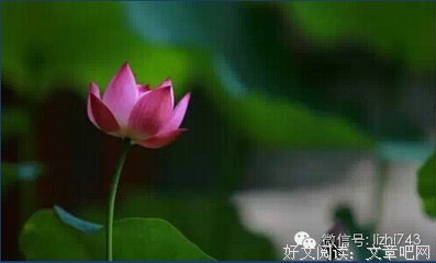 相思入骨名句欣赏