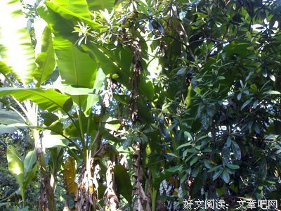 洪水猛兽的句子