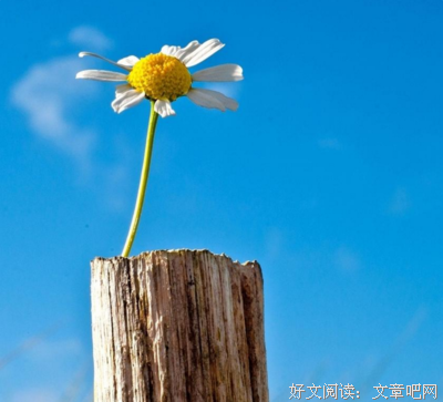 《心萌心语》语录摘抄