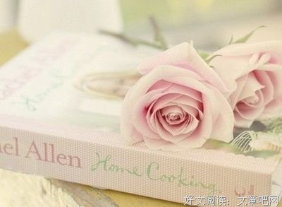 最经典的《万物皆有欢喜处》语录摘抄