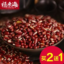 神童读后感精选10篇