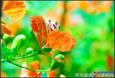 影响力的读后感10篇