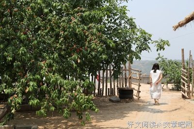 租一个院子喝茶，把生活过成诗