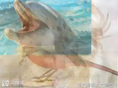你第一眼看到什么动物, 就是怎样的人! 神准~