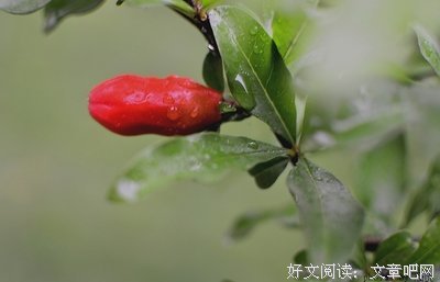 关于且以子且珍惜的优美句子