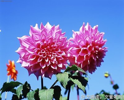 成长经典的句子