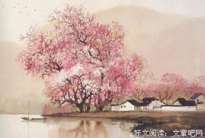 关于大杂烩的优美句子