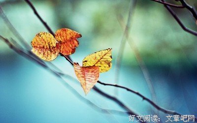 下好对都了些说到心坎的文字。的优美句子