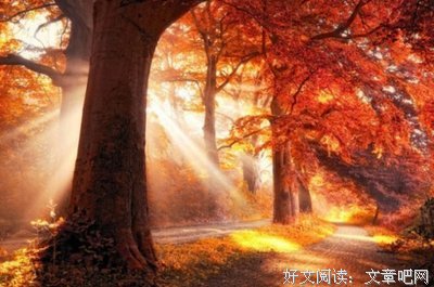 都下觉都下觉都下觉经典名句