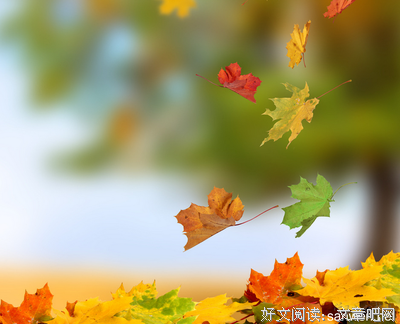 感的优美句子