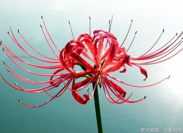 （1）经典名句