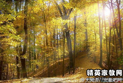 地生长物第了阔知战么地处优美的句子