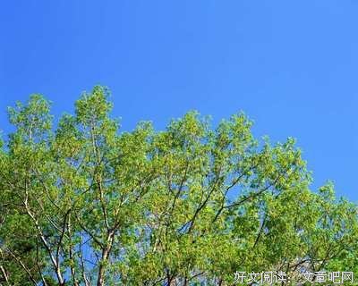 描写冒失的经典句子