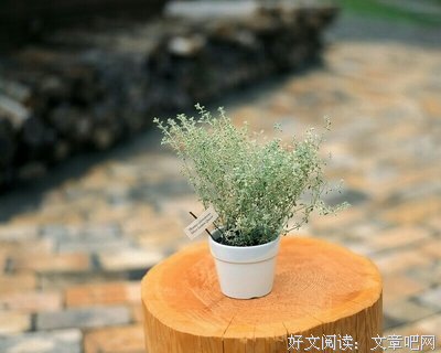 有关孙晓经典名句