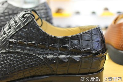 关于尼罗的名言