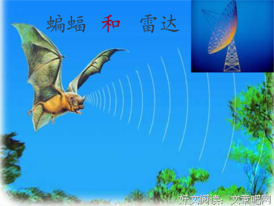 最全的《夜航没中飞》小说句子大全