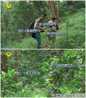 最经典的《拯救男配计划》经典语句大全
