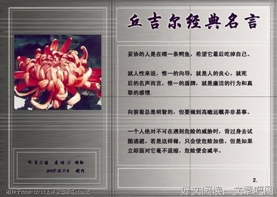 最经典的《b站》名句欣赏