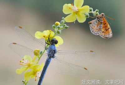 kkmailbox｜11.说你不好相处的，其实并不会跟你相处