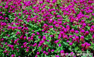 《雨季不再来》读后感10篇