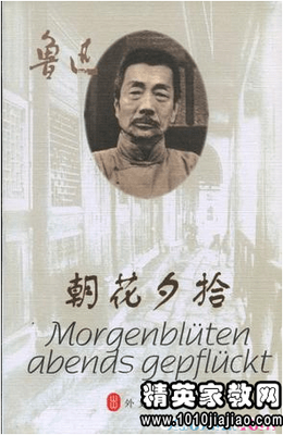 鲁迅说丑陋的中国人经典读后感10篇