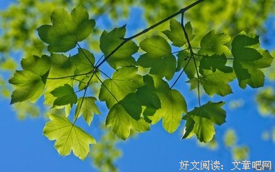 念句子