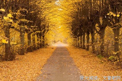 《生要出想》的句子