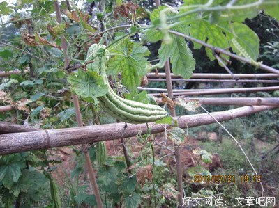 《爱我所爱，喜我所喜》的句子