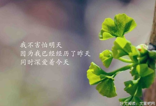 15条关于单薄的经典语句